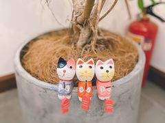 -C+ cake shop(天河南一路小区店)