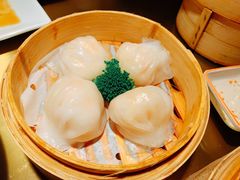 -南枝记
