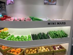-MINI MARS KIDS CLUB亲子家庭中心(长宁天山店)