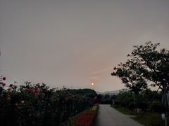 -呼吸森林·生态农庄农家乐私房菜