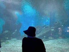 -福州罗源湾海洋世界旅游区