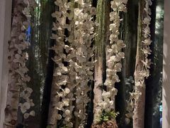 -益健·足疗汗蒸SPA(芙蓉广场店)