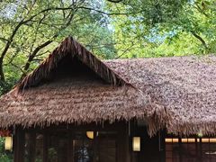 -中国茶叶博物馆(双峰馆区)