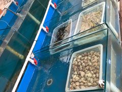-金渔村海鲜烧烤大排档