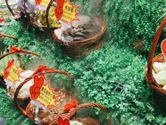 -鸽子窝(青塔店)