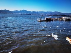 -滇池海埂公园
