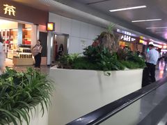 -福州长乐国际机场