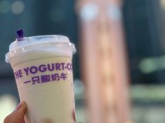 -一只酸奶牛(八一路店)