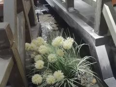 -蓉城老妈火锅(双林路店)