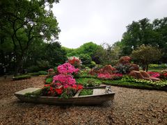 -上海醉白池公园