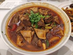 笋子烧牛肉-眉州东坡(中日友好医院店)