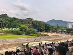 -深圳野生动物园