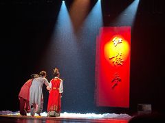 -北京大学百年讲堂