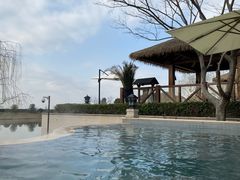 -苏州湾·王焰温泉