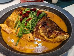 红烧千岛湖胖头鱼-来相会饺子·新辽菜(甘家口店)