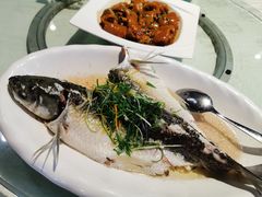-陶缘一号·四季缘·老字号顺德菜·户外婚礼家宴(西滘店)