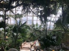 -盛泰恐龙谷温泉