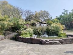 -广州莲花山旅游区