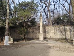 -灵谷景区