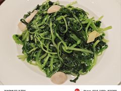 上汤春菜苗-利苑酒家(宜安广场店)