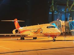 -威海大水泊国际机场