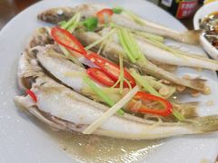 -长平肥姐白粥·海鲜打冷
