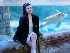 -合肥海洋世界