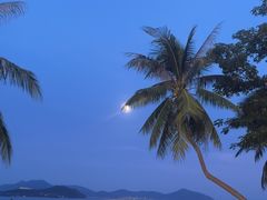 -JW万豪厨房餐厅·滨海草坪烧烤·海鲜·海景(三亚绿发山海天JW万豪酒店)