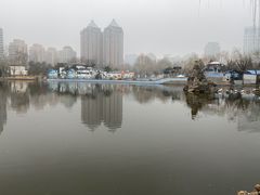-团结湖公园
