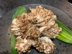 有机舞菇-煲宫(华润万象城店)