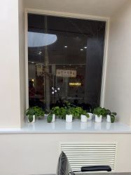 -逸丝风尚