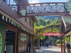 -野象谷景区