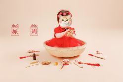 点击看大图 -苹果树儿童摄影工作室