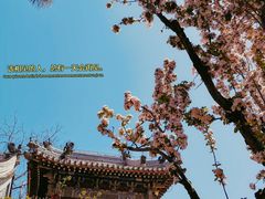 -潭柘寺景区