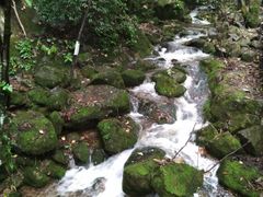 -陕西省红河谷森林公园