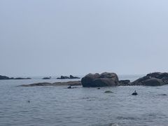 -海合安青岛极地海洋公园