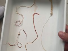 -美联众合动物医院·24h京西诊疗中心