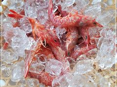 -隆都四季香饭店(碧海路店)