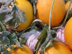 -北京清河镇农副产品交易市场中心