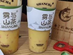 -雾与山茶(大禹城店)