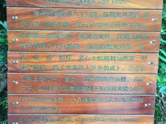-十八棵（老龙井）御茶园(老龙井店)