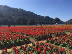 -广州市石门国家森林公园