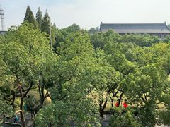 -浙江大学(玉泉校区)