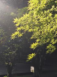 -西安索菲特人民大厦酒店·宴会厅