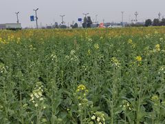 -中国天府农业博览园