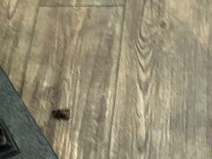 -纽斯桑拿会所(天山店)