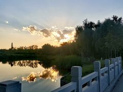 -大兴滨河森林公园