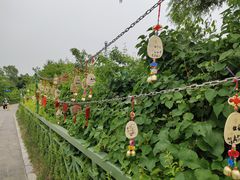 -热高乐园巴厘岛水世界