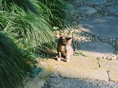 -上海植物园·停车场