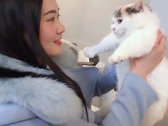 -猫爷宠物生活馆·撸猫馆